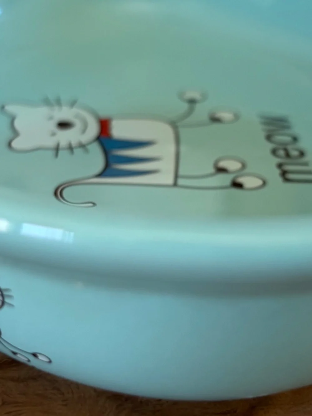 🐱 Whisker City “Meow” Cat Dish Bowl | Aqua Blue Ceramic Pet Bowl 🩵💚